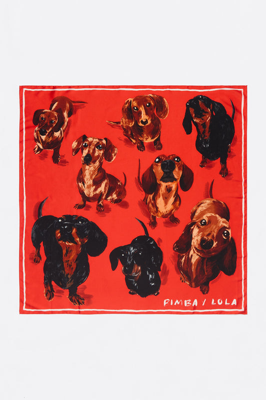 Red dogs scarf