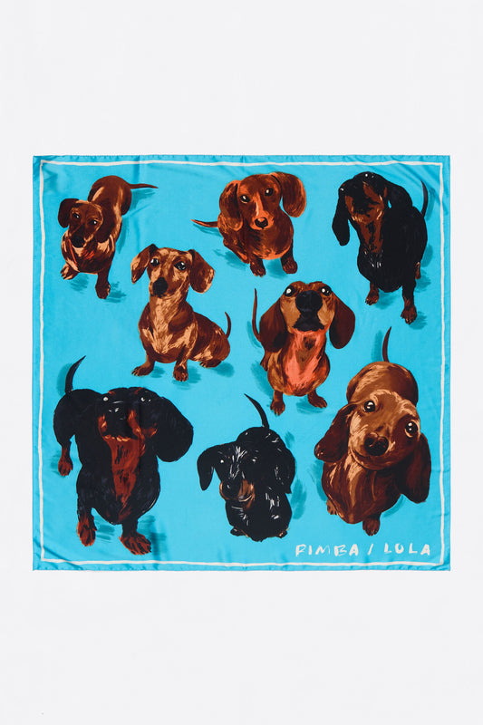 Blue dogs scarf