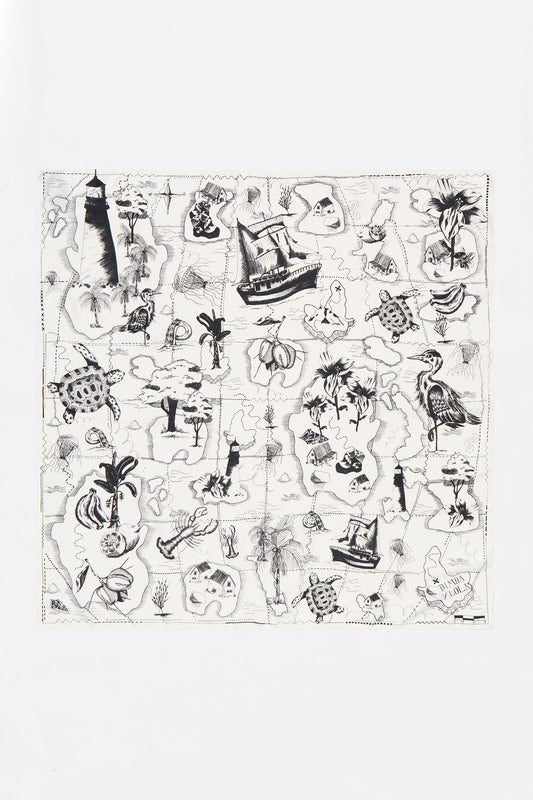 Two-tone map scarf